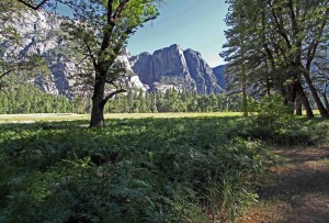 Lauren_ConVivio_Yosemite_mtns