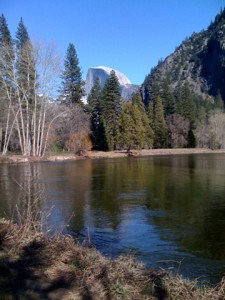 The Merced River from the valley floor.